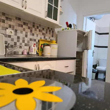 Nice Holiday Apartamento *